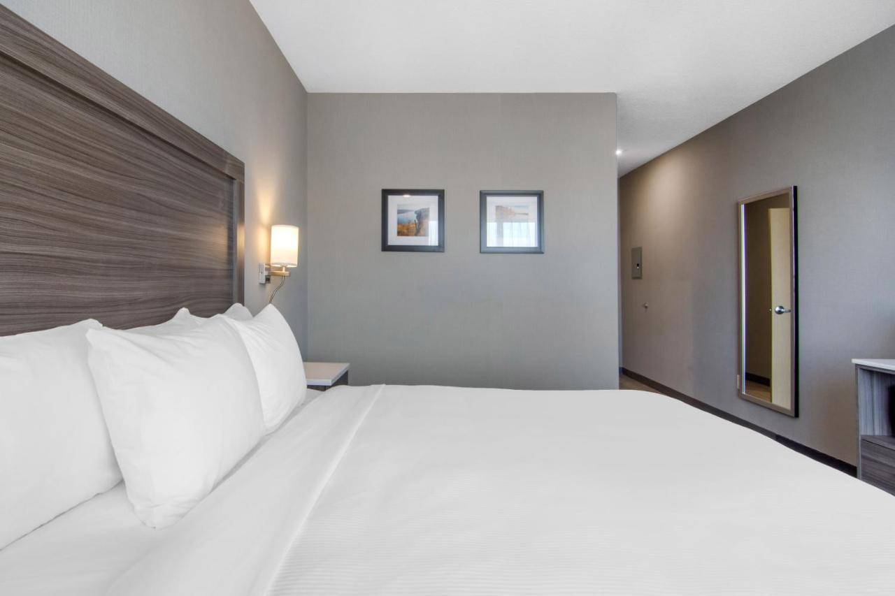 Comfort Inn & Suites Норт-Бетлфорд Екстер'єр фото